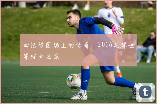 回忆绿茵场上的传奇：2016足球世界杯全记录