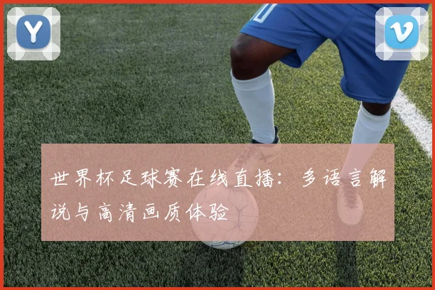 世界杯足球赛在线直播：多语言解说与高清画质体验