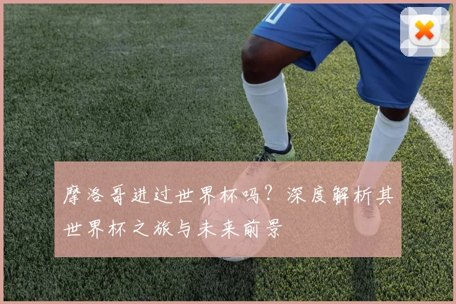 摩洛哥进过世界杯吗？深度解析其世界杯之旅与未来前景