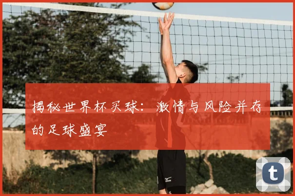 揭秘世界杯买球:激情与风险并存的足球盛宴