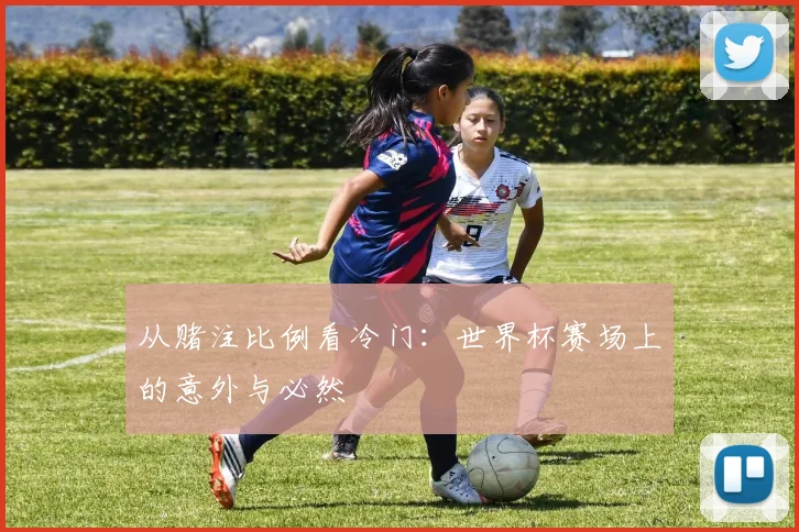 从赌注比例看冷门：世界杯赛场上的意外与必然