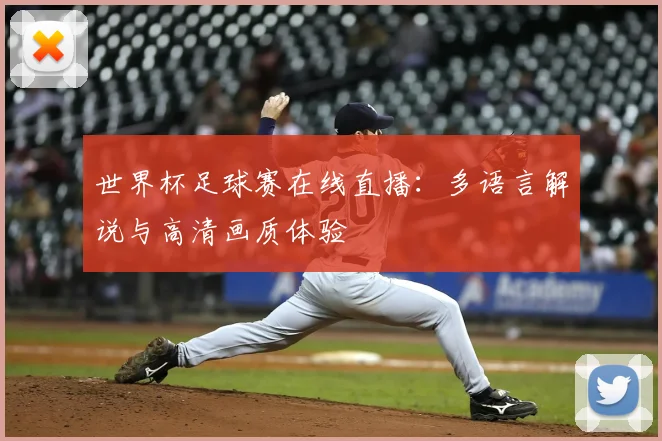 世界杯足球赛在线直播：多语言解说与高清画质体验