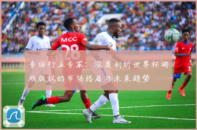 专访行业专家：深度剖析世界杯游戏版权的市场格局与未来趋势