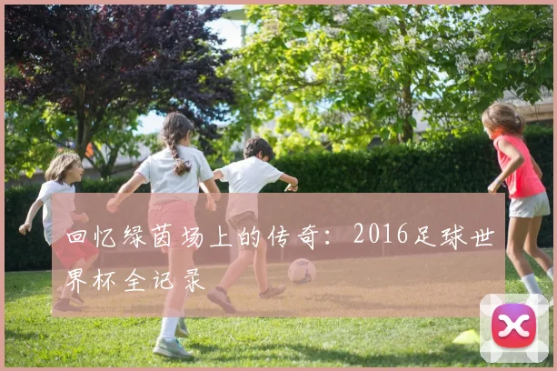 回忆绿茵场上的传奇：2016足球世界杯全记录