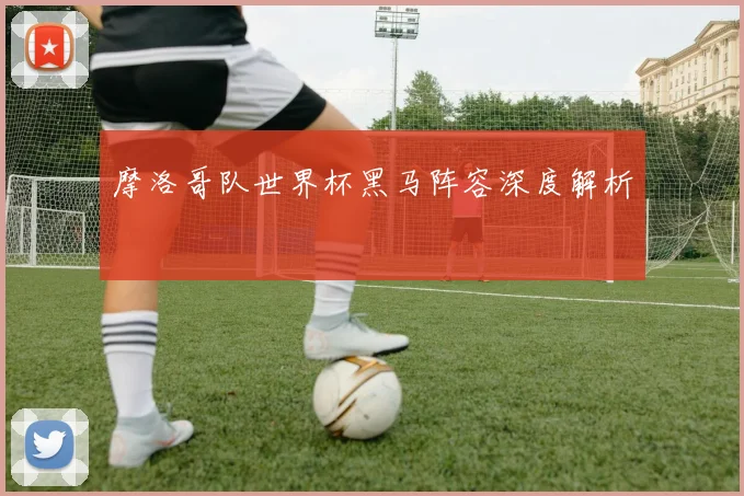 摩洛哥队世界杯黑马阵容深度解析